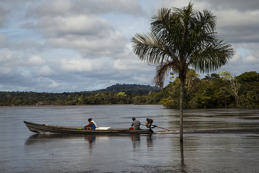 ‘Many features of the Amazon are man-made’: Q&A with archaeologist Eduardo Neves