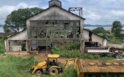 Fordlandia: hoe het Amazonewoud het won van technologie